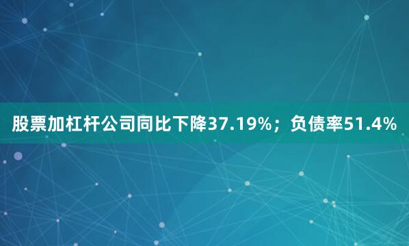 股票加杠杆公司同比下降37.19%；负债率51.4%