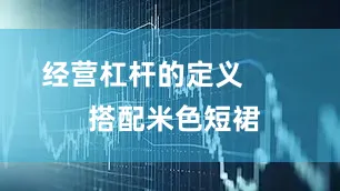经营杠杆的定义        搭配米色短裙