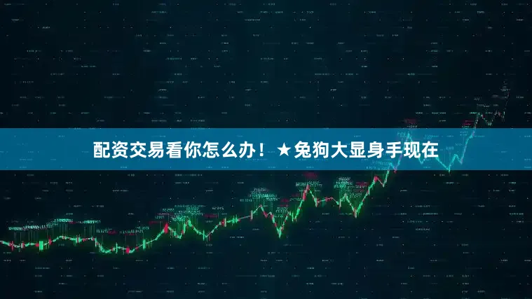 配资交易看你怎么办！★兔狗大显身手现在