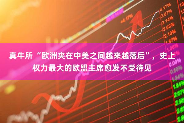 真牛所 “欧洲夹在中美之间越来越落后”，史上权力最大的欧盟主席愈发不受待见