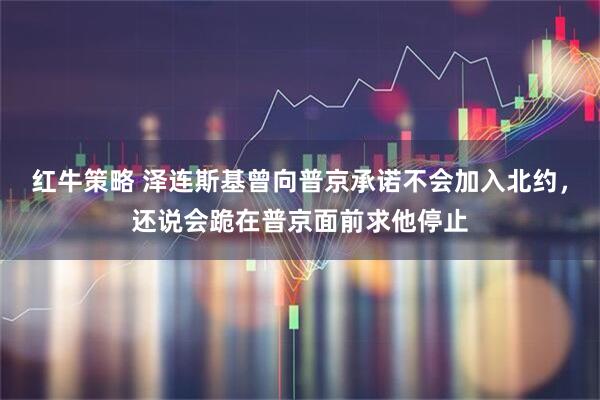 红牛策略 泽连斯基曾向普京承诺不会加入北约，还说会跪在普京面前求他停止